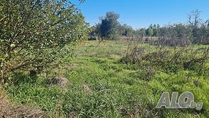Дворно място в с. Сърнево Продажа 1520 кв.м Под застройку (УПИ) Без электричества Без воды | Участки под застройку, Инвестиционные проекты | Сърнево