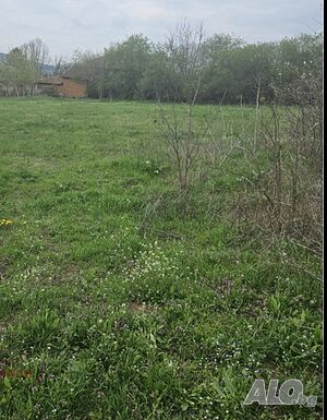 УПИ Маджерито Продажа 1100 кв.м Под застройку (УПИ) Без электричества Без воды | Участки под застройку, Инвестиционные проекты | Маджерито