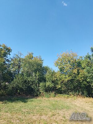 Продавам земеделски имот Земли сельхозназначения 2088 кв.м 6 категории | Сельскохозяйственная земля, Сады, Виноградники | с.Равнище, общ.Правец Правец