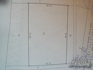 Валентина Маринова Земли сельхозназначения 50000 кв.м 3 категории | Сельскохозяйственная земля, Сады, Виноградники | Община Карнобат Драгово