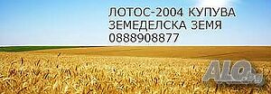 Продава парцел Продажа 13450 кв.м Под застройку (УПИ) С электричеством Водопровод | Участки под застройку, Инвестиционные проекты | Средина