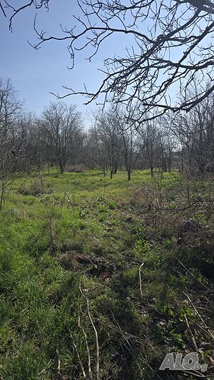 Парцел с ток и вода Продажа 1240 кв.м Под застройку (УПИ) С электричеством Водопровод | Участки под застройку, Инвестиционные проекты | Момино село