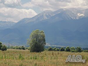 Парцел, правилна форма на 600 м. от регулацията на с. Баня, община Разлог!! Продажа 4200 кв.м Не находится в планировке С электричеством Собственный источник воды | Участки под застройку, Инвестиционные проекты | Иначка вада Баня