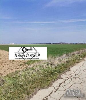 Продажба Земеделска земя община Марица - с. Царацово 8000m² Земли сельхозназначения 8000 кв.м Не указано | Сельскохозяйственная земля, Сады, Виноградники | Царацово