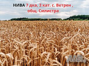 Продава се земеделска земя 7 дка, 3 кат. - с. Ветрен, общ. Силистра, местност „Царска Милост“ Земли сельхозназначения 7003 кв.м 3 категории | Сельскохозяйственная земля, Сады, Виноградники | Царска милост Ветрен
