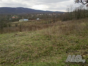Продава земя в землището на село Велика Земли сельхозназначения 2000 кв.м Не указано | Сельскохозяйственная земля, Сады, Виноградники | Караджигер Велика