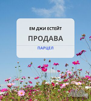 Земеделска земя - нива 2000 кв.м.. Земли сельхозназначения 2000 кв.м Не указано | Сельскохозяйственная земля, Сады, Виноградники | Извор