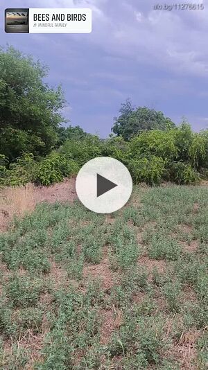 Парцел УПИ в с. Православ Продажа 1830 кв.м Под застройку (УПИ) С электричеством Водопровод | Участки под застройку, Инвестиционные проекты | Православ