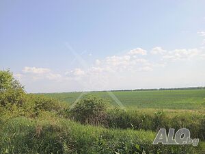 20дка в Момино село! Продажа 20017 кв.м Не находится в планировке Без электричества Без воды | Участки под застройку, Инвестиционные проекты | Момино село