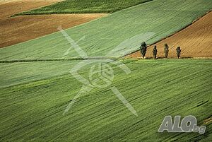 Парцел-с. Оризаре Продажа 1505 кв.м Под застройку (УПИ) С электричеством Водопровод | Участки под застройку, Инвестиционные проекты | Оризаре