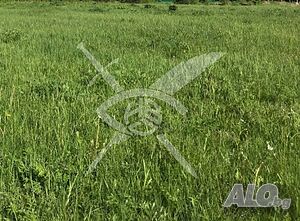 Парцел в Ново село 87560 Продажа 1919 кв.м Под застройку (УПИ) С электричеством Водопровод | Участки под застройку, Инвестиционные проекты | Ново село