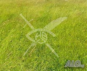 Парцел в Крислово Продажа 1000 кв.м Под застройку (УПИ) Без электричества Без воды | Участки под застройку, Инвестиционные проекты | Крислово