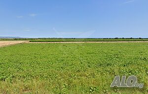 Парцел в Карагеоргиево Продажа 2795 кв.м Не находится в планировке Без электричества Без воды | Участки под застройку, Инвестиционные проекты | Карагеоргиево