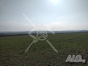 Парцел в село Венец 95593 Продажа 4500 кв.м Не находится в планировке Без электричества Без воды | Участки под застройку, Инвестиционные проекты | Венец
