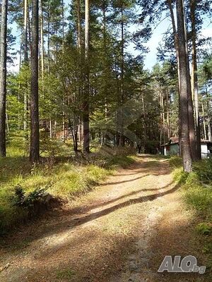 Вълшебно! 9дка до Хижа Здравец! Продажа 9300 кв.м Не находится в планировке Без электричества Без воды | Участки под застройку, Инвестиционные проекты | хижа Здравец