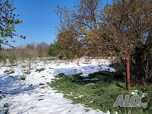 Просторен парцел в Тамарино Продажа 2000 кв.м Под застройку (УПИ) Без электричества Без воды | Участки под застройку, Инвестиционные проекты | Тамарино
