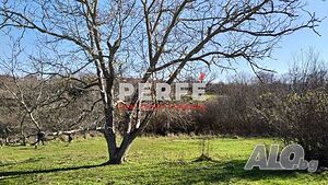 Парцел в регулация със стара постройка в с. Росеново Продажа 1417 кв.м Под застройку (УПИ) С электричеством Водопровод | Участки под застройку, Инвестиционные проекты | Росеново