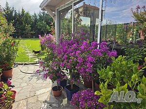 Продава къща Двухэтажный 192 кв.м РЗП 560 кв.м двор | Дома/Дачи | Ветрен Бургас
