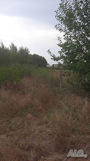 Парцел в с. Крушево Продажа 1100 кв.м Под застройку (УПИ) С электричеством Водопровод | Участки под застройку, Инвестиционные проекты | Крушево