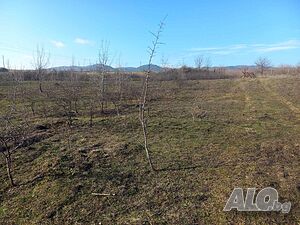 Продавам Упи парцел с. Пепелище Продажа 3200 кв.м Под застройку (УПИ) Без электричества Без воды | Участки под застройку, Инвестиционные проекты | Пепелище