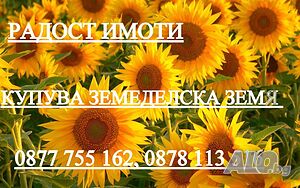 Продава 30дка, 50дка, 80дка - земеделска земя - с. Гешаново, община Добричка Земли сельхозназначения 80000 кв.м 3 категории | Сельскохозяйственная земля, Сады, Виноградники | Гешаново