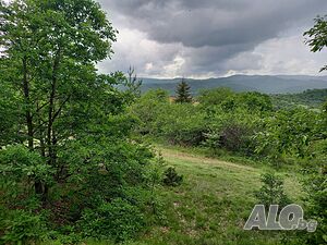 Парцел с. Гуцал Продажа 768 кв.м Под застройку (УПИ) С электричеством Водопровод | Участки под застройку, Инвестиционные проекты | Гуцал