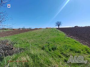 Поземлен имот за продажба гр. Сливо поле Продажа 1668 кв.м Не находится в планировке Без электричества Без воды | Участки под застройку, Инвестиционные проекты | Сливо поле