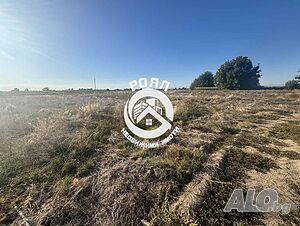 Роял имоти продава УПИ в с. Бенковски Продажа 804 кв.м Под застройку (УПИ) С электричеством Водопровод | Участки под застройку, Инвестиционные проекты | Бенковски