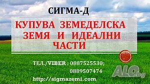 27 дка в землището на с. Ловчанци Земли сельхозназначения 27 кв.м 3 категории | Сельскохозяйственная земля, Сады, Виноградники | Ловчанци