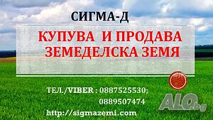 40 дка в землището на Разград Земли сельхозназначения 40000 кв.м 5 категории | Сельскохозяйственная земля, Сады, Виноградники | Център Разград