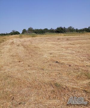УПИ 3000кв метра Продажа 3000 кв.м Под застройку (УПИ) Без электричества Без воды | Участки под застройку, Инвестиционные проекты | С. Долно Церовене Долно Церовене