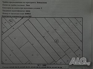 Земеделска земя - лозе 400кв. м Виноградник 400 кв.м 3 категории | Сельскохозяйственная земля, Сады, Виноградники | Равнец
