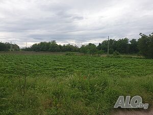 УПИ, с. Върбица Продажа 900 кв.м Под застройку (УПИ) Без электричества Без воды | Участки под застройку, Инвестиционные проекты | Върбица