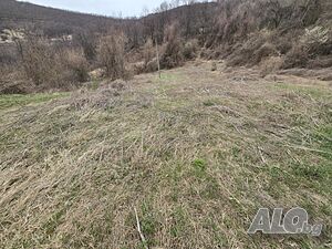 село Заселе Продавам имот Продажа 5100 кв.м Под застройку (УПИ) С электричеством Собственный источник воды | Участки под застройку, Инвестиционные проекты | Заселе