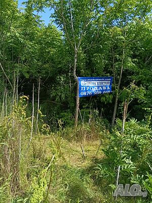 Дворно масто за жилищно строителство гр. Кнежа Продажа 535 кв.м Под застройку (УПИ) С электричеством Собственный источник воды | Участки под застройку, Инвестиционные проекты | Стефан Цанов 1Б Кнежа