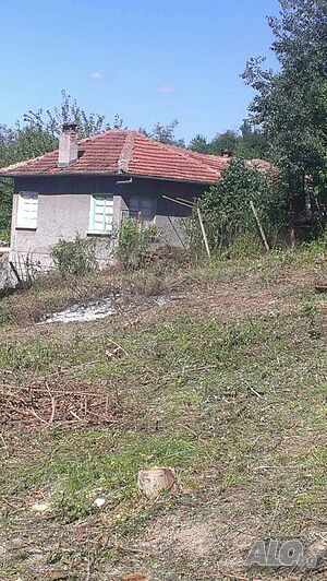 Къща с много голям двор в гр. Златарица Этаж от дома 100 кв.м РЗП | Дома/Дачи | Златарица