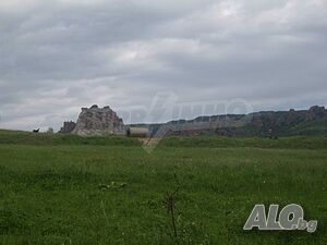 Голям нерегулиран парцел на 50 км от гр. Видин Земли сельхозназначения 22000 кв.м | Сельскохозяйственная земля, Сады, Виноградники | Боровица