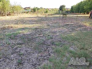 Парцел в село Знаменосец Продажа 1200 кв.м Под застройку (УПИ) Без электричества Без воды | Участки под застройку, Инвестиционные проекты | Знаменосец