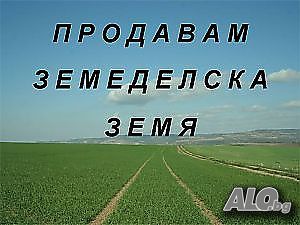Продажба на земеделска земя 6000м2 Земли сельхозназначения 6000 кв.м 8 категории | Сельскохозяйственная земля, Сады, Виноградники | Граматиково