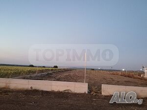 Парцел под наем в село Кичево Парцел 2311 кв.м | Участки | Кичево