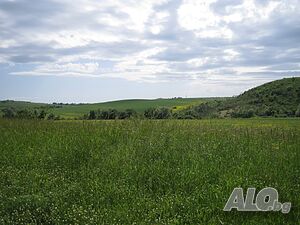 Продавам парцел 3 декара, граничещ с река до село Маринка Продажа 3000 кв.м Не находится в планировке Без электричества Без воды | Участки под застройку, Инвестиционные проекты | Маринка Маринка