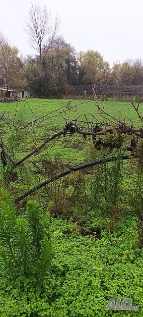 Парцел, с. Триводици Продажа 1000 кв.м Под застройку (УПИ) Без электричества Без воды | Участки под застройку, Инвестиционные проекты | Триводици