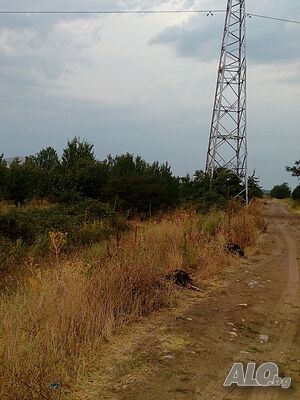 Черешова градина, с. Устина Фруктовый сад 3078 кв.м 4 категории | Сельскохозяйственная земля, Сады, Виноградники | Устина