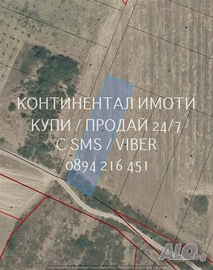 Нива 1300м2, на около километър северно от яз. Устина. Земли сельхозназначения 1300 кв.м 4 категории | Сельскохозяйственная земля, Сады, Виноградники | Устина