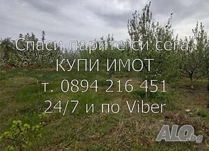 Овощна градина 5400м2 череши, останалите са праскови, кайсии, вишни на асфалт Фруктовый сад 5400 кв.м 3 категории | Сельскохозяйственная земля, Сады, Виноградники | Долнослав