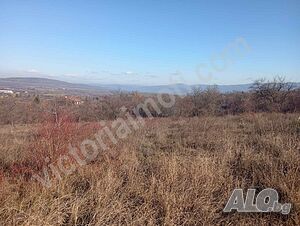 Парцел в регулация в с. Пчелище Продажа 6700 кв.м Под застройку (УПИ) Без электричества Без воды | Участки под застройку, Инвестиционные проекты | Пчелище