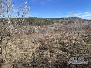 Парцел в регулация с. Малки чифлик! Продажа 3000 кв.м Под застройку (УПИ) Без электричества Без воды | Участки под застройку, Инвестиционные проекты | Малки чифлик