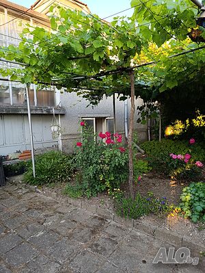 Еднофамилна къща в с. Старо Оряхово Одноэтажный 64 кв.м РЗП 384 кв.м двор | Дома/Дачи | Старо Оряхово