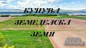 Купува зем. земя Свобода, Овчарово, Паскалево, Божурово и др. | Покупает | Овчарово