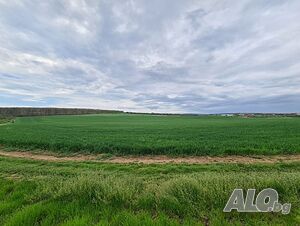 Парцели земеделски Земли сельхозназначения 4500 кв.м 3 категории | Сельскохозяйственная земля, Сады, Виноградники | Айдемир